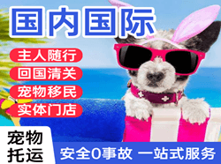 乌兰察布集宁航空空运国际宠物托运 【国
